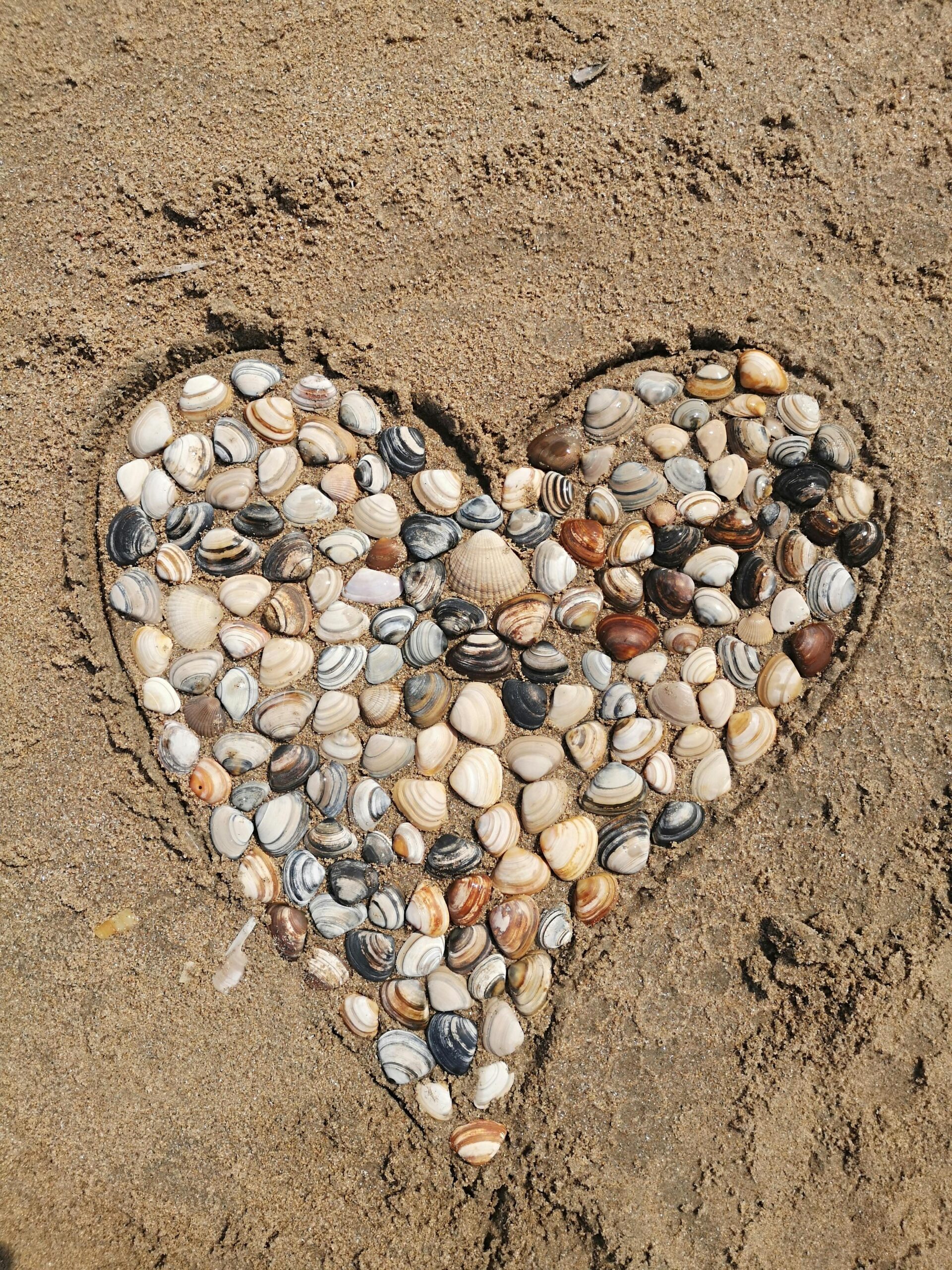 Een getekend hart van schelpen op het strand als symbool voor leven vanuit je hart en innerlijke rust.