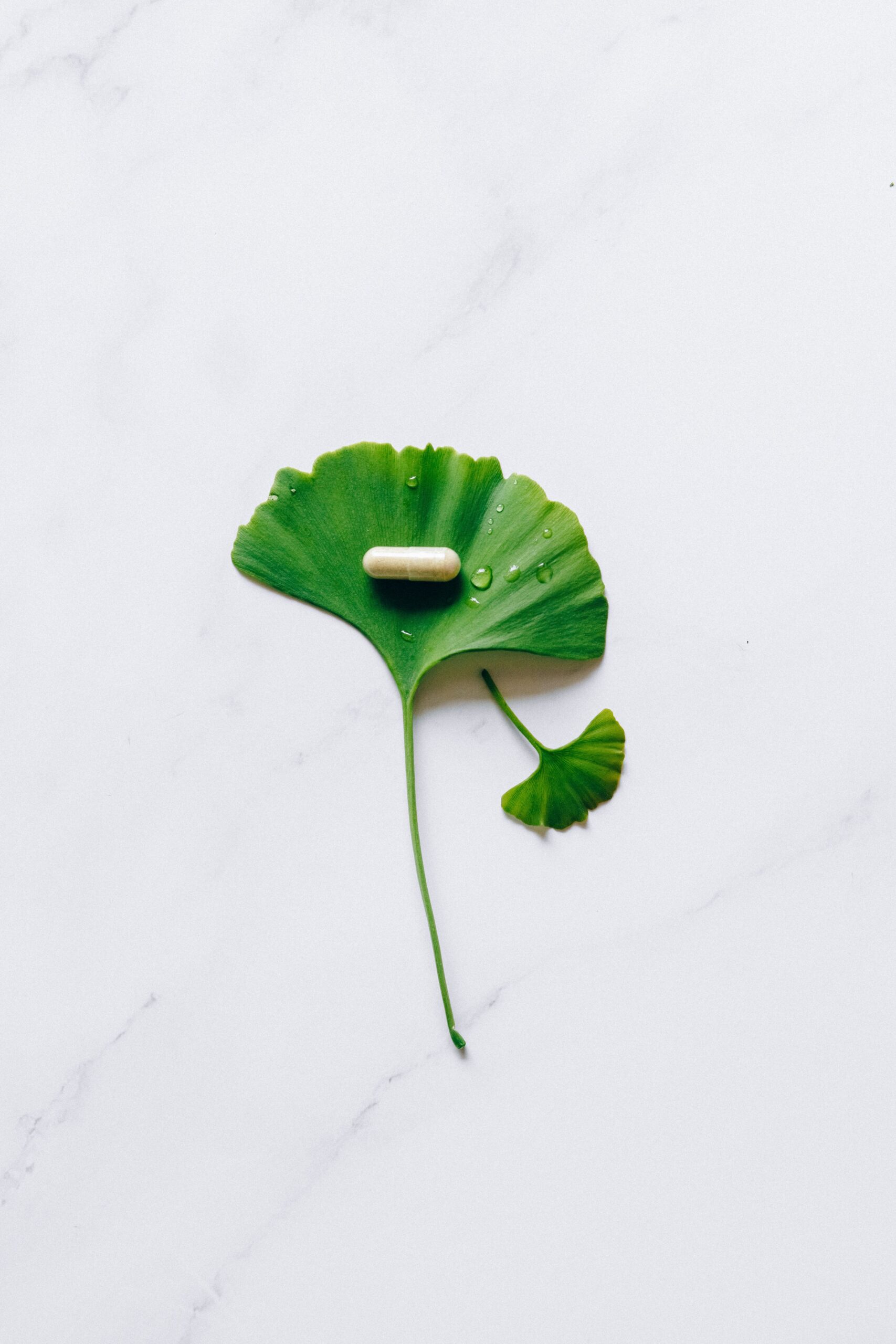 Capsule op een groen blad als symbool voor natuurlijke, hoogwaardige vitaminen en supplementen.